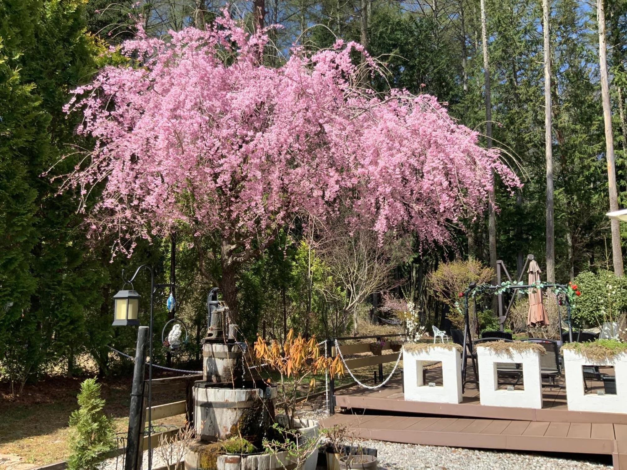 Kakureyado Fujikawaguchiko Bed & Breakfast Bagian luar foto